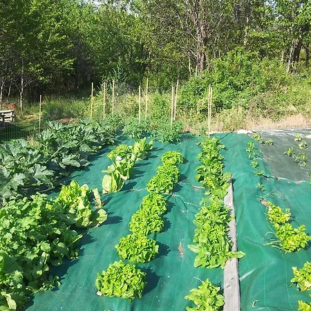 Vieilles Maisons D'introd Apartman Introd